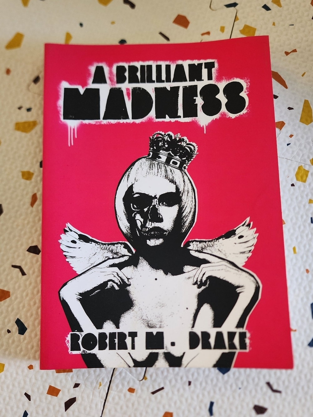 A Brilliant Madness by Robert M. Drake New Book Poetry